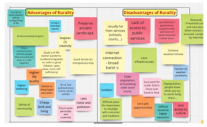 advantages disadvantages rurality